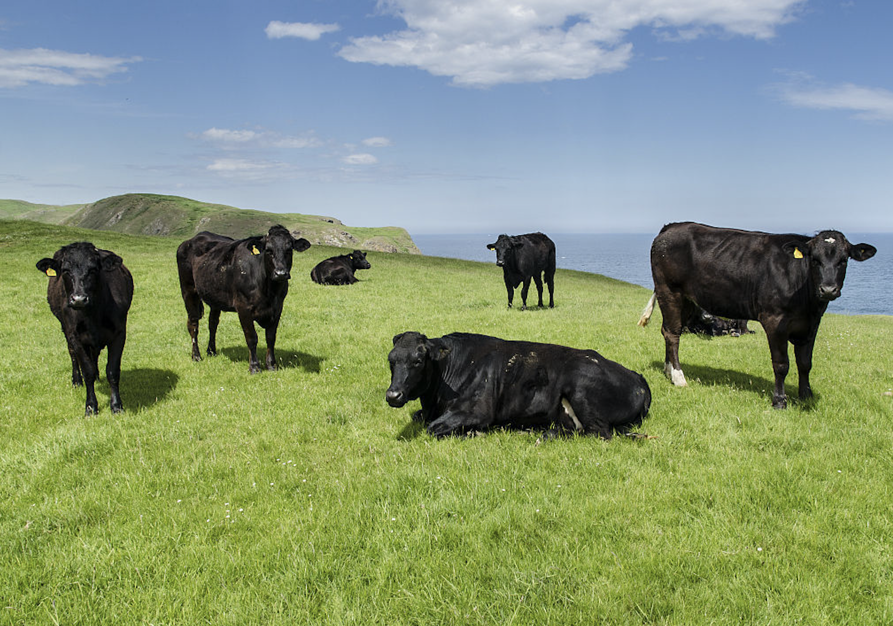 20181226140575607560