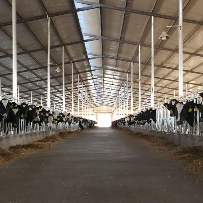 20190418112982488248